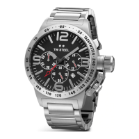 Preview: TW Steel watch
