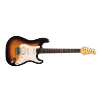 Preview: Fretlight Guitar