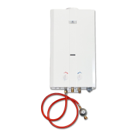 Preview: Eccotemp L10