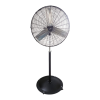 Fan Logo
