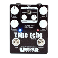 Preview: Wampler Faux Tape Echo