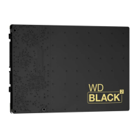Preview: Western Digital BLACK 2