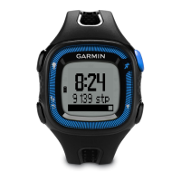 Preview: Garmin Forerunner 15
