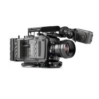 Preview: ARRI Amira