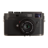 Preview: Leica M Monochrom