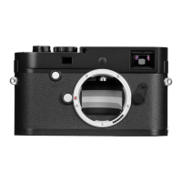 Preview: Leica M Monochrom