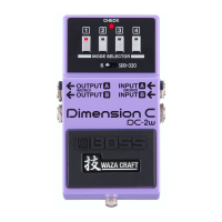 Preview: Boss DC-2
