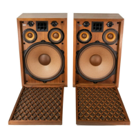Preview: Pioneer CS-99A