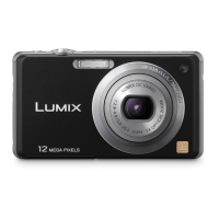 Preview: Panasonic LUMIX DMC-FH20
