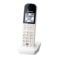 Preview: Panasonic KX-HNH100