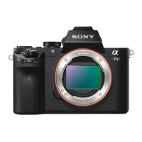 Preview: Sony ILCE-7M2