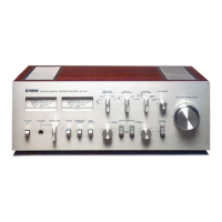 Preview: Yamaha CA-810