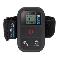 Preview: GoPro Smart Remote