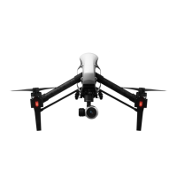 Preview: dji Inspire 1