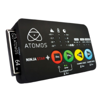 Preview: Atomos NINJA STAR