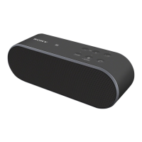 Preview: Sony SRS-X2
