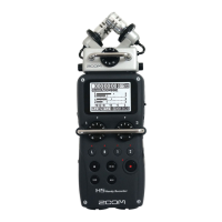 Preview: Zoom H5