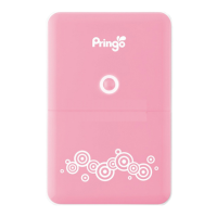 Preview: Pringo P231