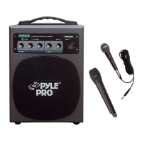 Preview: Pyle Pro PWMA600