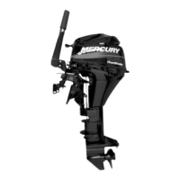 Preview: Mercury 8 Bigfoot 4-Stroke