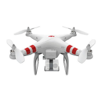 Preview: dji PHANTOM