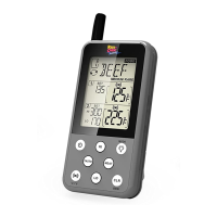 Preview: Maverick ET-733 REDI CHEK
