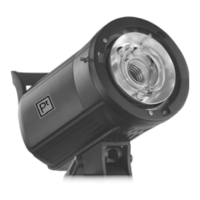 Preview: Pt Platinum PT-DPSFK