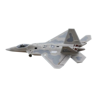 Preview: Freewing F-22 Raptor