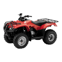 Preview: Honda 2005 TRX250TM Fourtrax