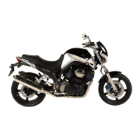 Preview: Yamaha 2005 BT1100