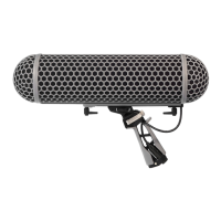 Preview: RODE Microphones blimp