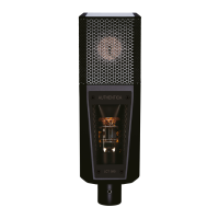 Preview: Lewitt LCT 840