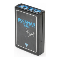 Preview: ROCKMAN X100