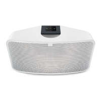 Preview: Bluesound Pulse