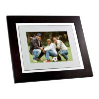 Preview: Pandigital PAN8000DWPCF1