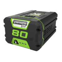Preview: GreenWorks 2901302