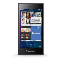 Preview: Blackberry Leap