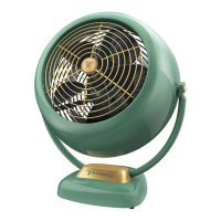 Preview: Vornado VFAN