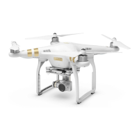 Preview: dji Phantom 3 Advanced