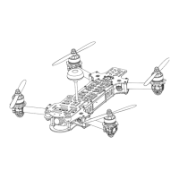 Preview: ImmersionRC Vortex