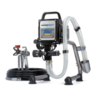 Preview: Homeright Power-Flo Pro 2800