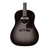 Preview: L.R. Baggs M80