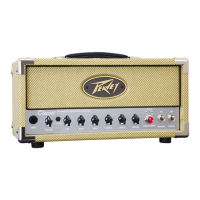 Preview: Peavey Classic 20 MH