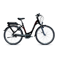 Preview: Flyer E-Bike