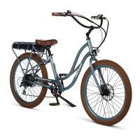 Preview: Pedego Boomerang