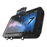 Preview: Odyssey 7