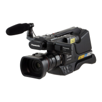 Preview: Panasonic HC-MDH2