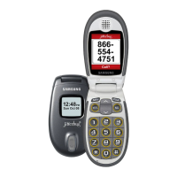Preview: Samsung GreatCall