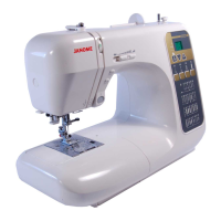 Preview: Janome 3022