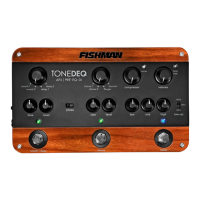 Preview: Fishman TONEDEQ